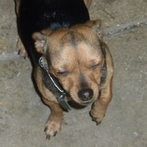 Meet your Posher, Bill